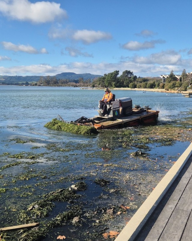 Rotorua Lakes Council recently teamed up with Toi Moana Bay of Plenty Regional Council to remove lake weed