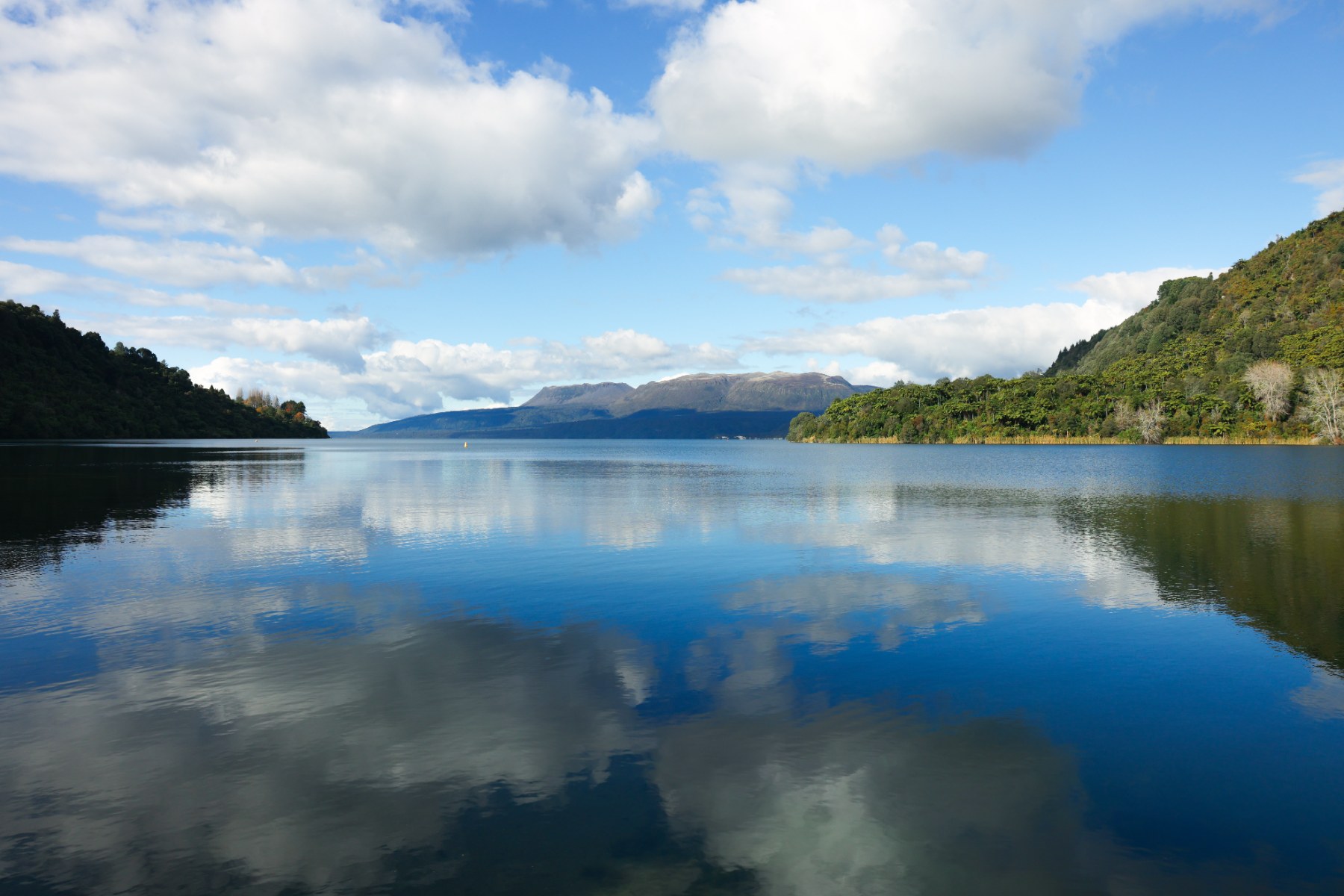 Lake Tarawera’s water quality is dropping and wastewater from septic tanks, which leaches through groundwater into the lake, is a contributing factor.